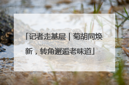 记者走基层｜菊胡同焕新，转角邂逅老味道