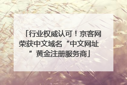 行业权威认可！京客网荣获中文域名“中文网址”黄金注册服务商