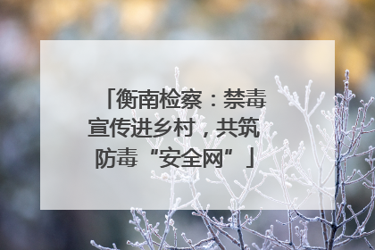 衡南检察：禁毒宣传进乡村，共筑防毒“安全网”