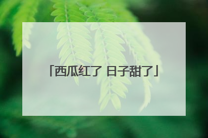西瓜红了 日子甜了