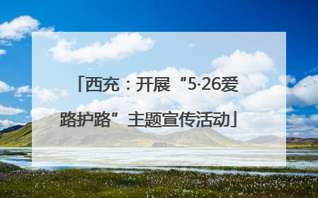 西充：开展“5·26爱路护路”主题宣传活动