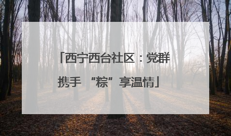 西宁西台社区：党群携手 “粽”享温情