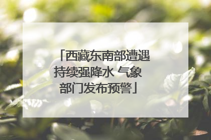 西藏东南部遭遇持续强降水 气象部门发布预警