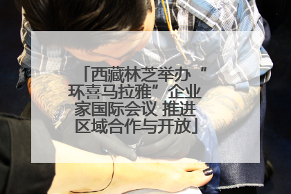 西藏林芝举办“环喜马拉雅”企业家国际会议 推进区域合作与开放