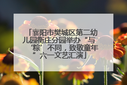 襄阳市樊城区第二幼儿园衡庄分园举办“与‘粽’不同，致敬童年”六一文艺汇演