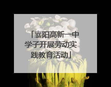 襄阳高新一中学子开展劳动实践教育活动