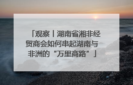 观察丨湖南省湘非经贸商会如何串起湖南与非洲的“万里商路”