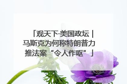 观天下·美国政坛｜马斯克为何称特朗普力推法案“令人作呕”