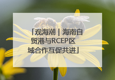 观海潮｜海南自贸港与RCEP区域合作互促共进