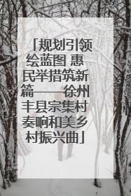 规划引领绘蓝图 惠民举措筑新篇——徐州丰县宗集村奏响和美乡村振兴曲