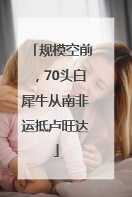 规模空前，70头白犀牛从南非运抵卢旺达
