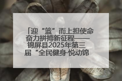 迎“篮”而上担使命 奋力拼搏新征程——锦屏县2025年第三届“全民健身·悦动锦屏”篮球赛圆满闭幕