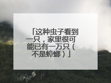这种虫子看到一只，家里很可能已有一万只（不是蟑螂）