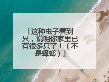 这种虫子看到一只，说明你家里已有很多只了！（不是蟑螂）