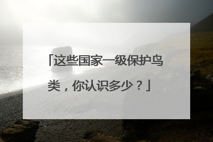 这些国家一级保护鸟类，你认识多少？
