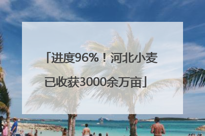 进度96%！河北小麦已收获3000余万亩