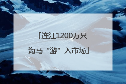 连江1200万只海马“游”入市场