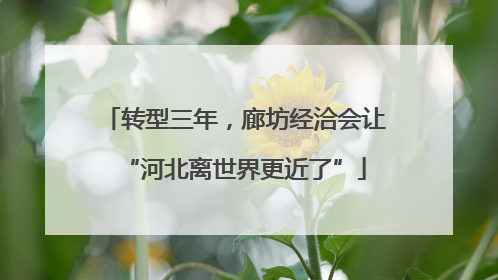 转型三年，廊坊经洽会让“河北离世界更近了”
