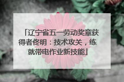 辽宁省五一劳动奖章获得者佟明：技术攻关，练就带电作业新技能