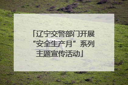 辽宁交警部门开展“安全生产月”系列主题宣传活动
