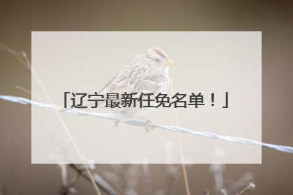 辽宁最新任免名单！