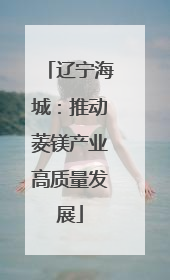 辽宁海城：推动菱镁产业高质量发展