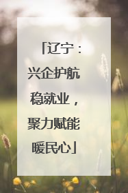 辽宁：兴企护航稳就业，聚力赋能暖民心