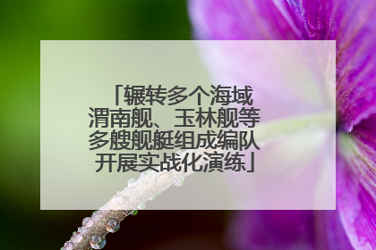 辗转多个海域 渭南舰、玉林舰等多艘舰艇组成编队开展实战化演练