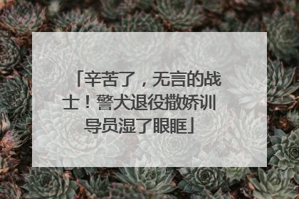 辛苦了,无言的战士!警犬退役撒娇训导员湿了眼眶