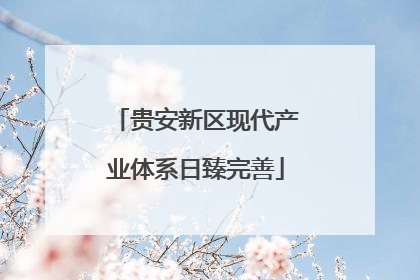 贵安新区现代产业体系日臻完善