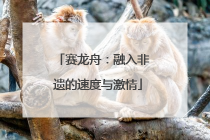 赛龙舟:融入非遗的速度与激情
