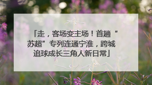 走，客场变主场！首趟“苏超”专列连通宁淮，跨城追球成长三角人新日常