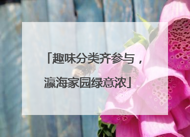 趣味分类齐参与，瀛海家园绿意浓