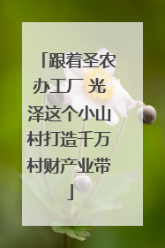 跟着圣农办工厂 光泽这个小山村打造千万村财产业带