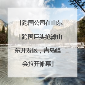 跨国公司在山东｜跨国巨头抢滩山东开发区，青岛峰会拉开帷幕