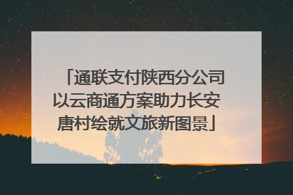 通联支付陕西分公司以云商通方案助力长安唐村绘就文旅新图景