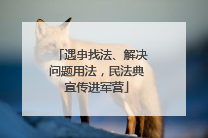 遇事找法、解决问题用法，民法典宣传进军营