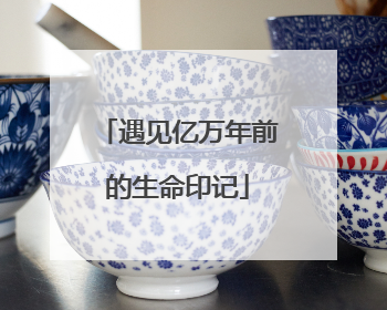遇见亿万年前的生命印记