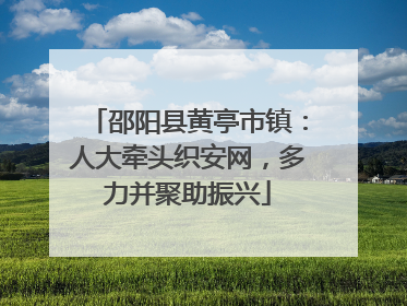 邵阳县黄亭市镇：人大牵头织安网，多力并聚助振兴
