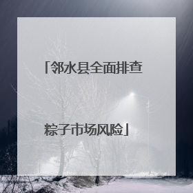 邻水县全面排查粽子市场风险