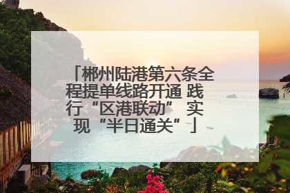 郴州陆港第六条全程提单线路开通 践行“区港联动” 实现“半日通关”