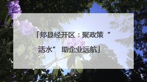 郏县经开区：聚政策“活水” 助企业远航