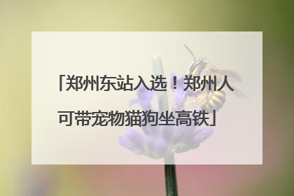 郑州东站入选！郑州人可带宠物猫狗坐高铁