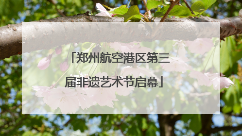 郑州航空港区第三届非遗艺术节启幕