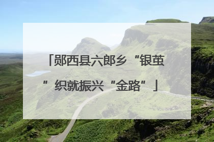 郧西县六郎乡“银茧”织就振兴“金路”