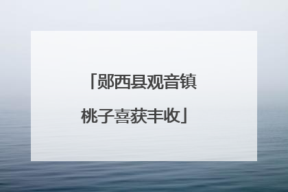 郧西县观音镇桃子喜获丰收