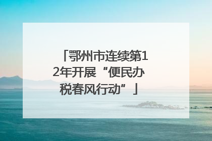 鄂州市连续第12年开展“便民办税春风行动”