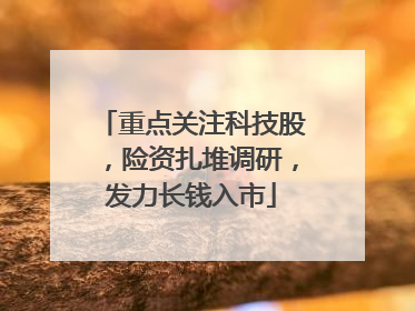 重点关注科技股，险资扎堆调研，发力长钱入市