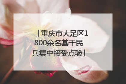 重庆市大足区1800余名基干民兵集中接受点验