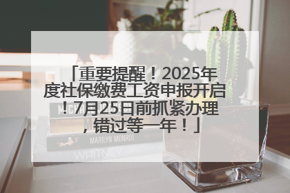 重要提醒！2025年度社保缴费工资申报开启！7月25日前抓紧办理，错过等一年！